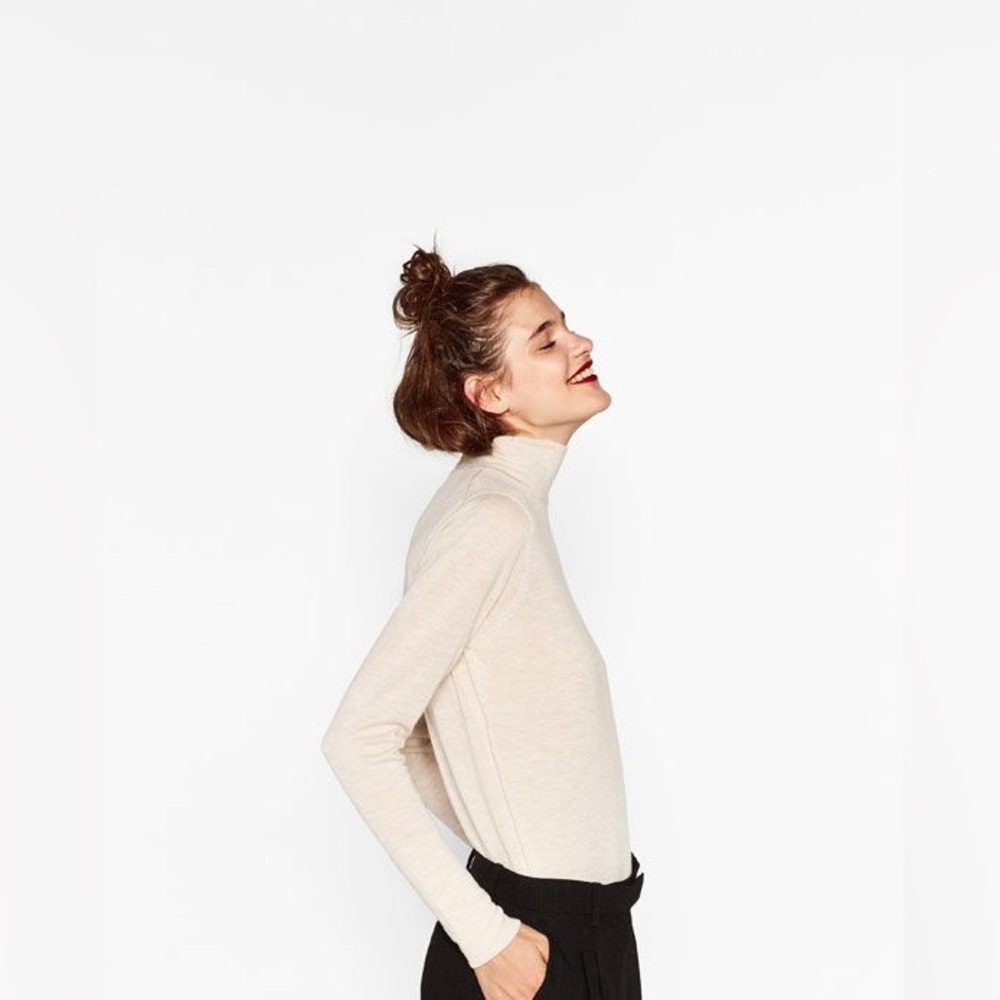 Zara Knit Turtleneck Sweater